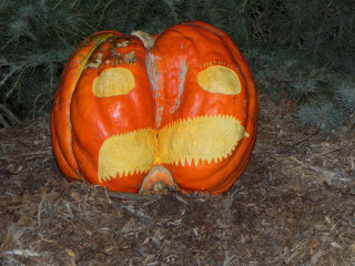 Deep Sea Fish, Nipomo Pumpkin Patch best carving idea